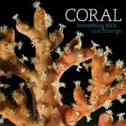 Book cover - Coral: Something Rich and Strange