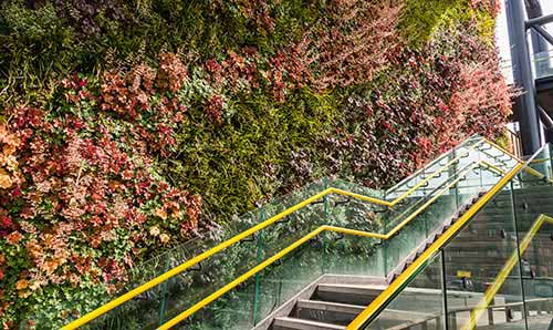 A 'living' wall by Manchester Deansgate tram stop.